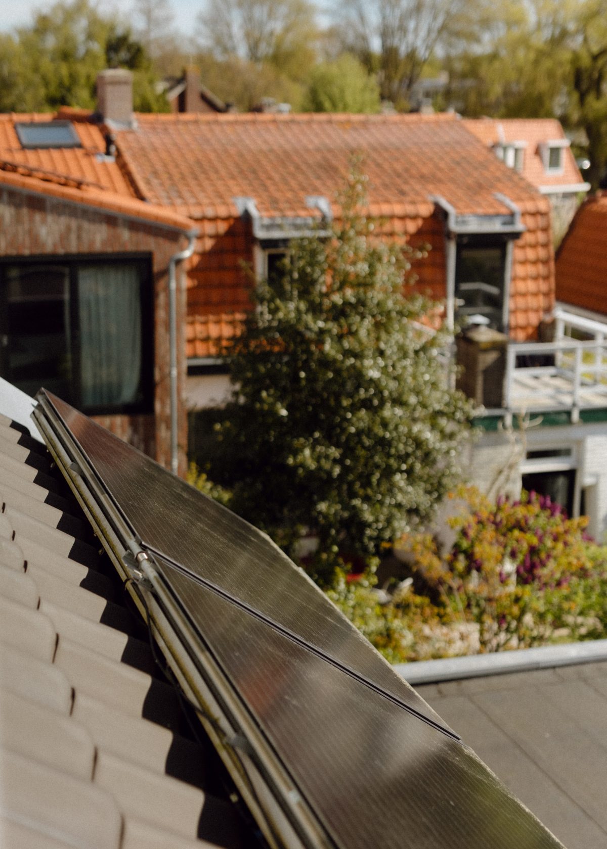 PVT-panelen op een hellend dak in het Ramplaankwartier, met de daken en tuinen van de buren op de achtergrond.