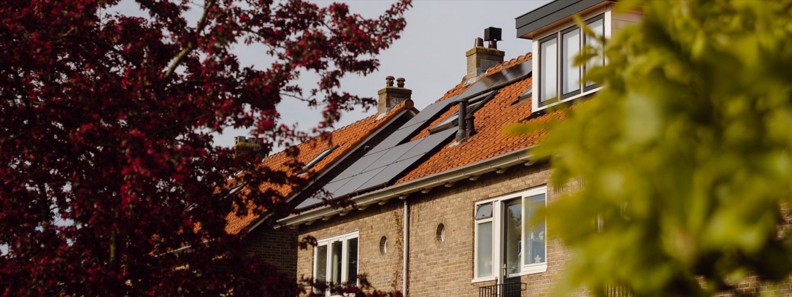 Daken in het Ramplaankwartier: oranje pannendaken met zonnepanelen, schoorstenen en een dakkapel, gezien tussen de bomen van een voortuin.